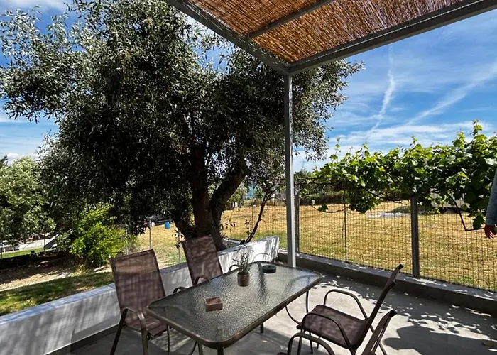 Summer Project Theros