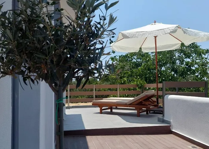 Summer Project Theros