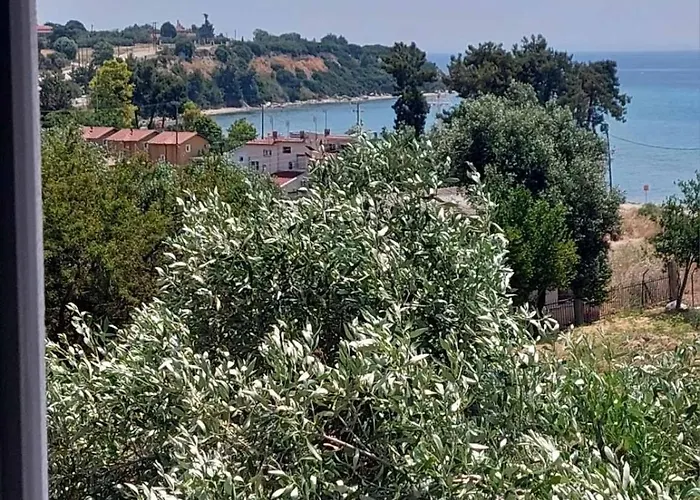 Apartment Summer Project Theros *